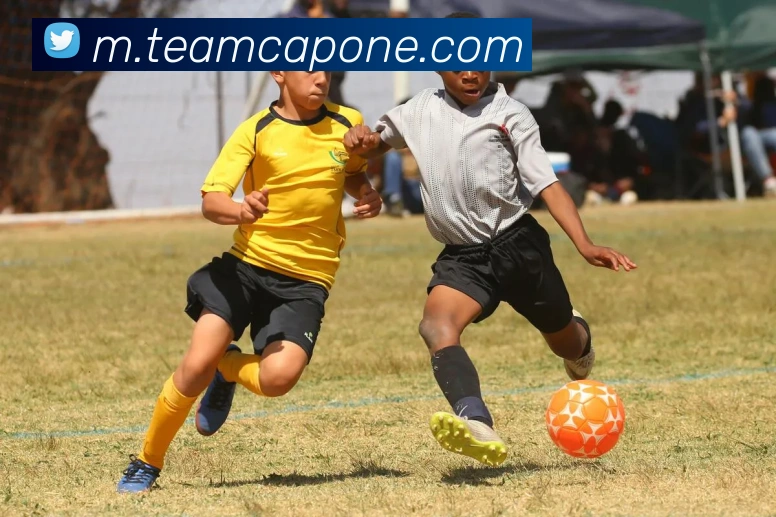 乐动在线平台平台生态图